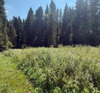 Recreational plots in Litmanová surrounded by green meadows and dense forests.