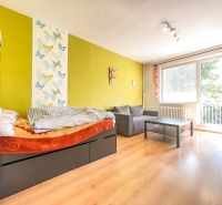 A room in a one-room apartment with a wooden decor floor, light walls, and a couch.