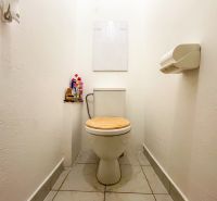 Bathroom in a studio apartment with a toilet and cleaning products on the shelf.