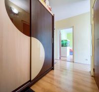 A hallway with a wardrobe and wooden decor leading to a room in a one-bedroom apartment.