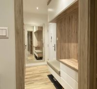 The entrance hall of a 3-room apartment with a wooden decor floor and a mirror on the wall.