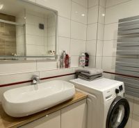 Bathroom in a 3-room apartment with a white sink and a washing machine on a wooden decor.