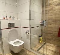 A bathroom in a 3-room apartment with a wooden decor floor and a shower corner.
