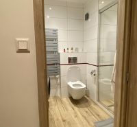 Bathroom with toilet and shower in a 3-room apartment, floor with wooden decor.