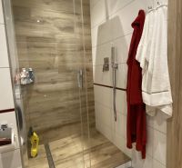 Bathroom with a shower, wooden decor flooring, and robe hooks in a 3-room apartment.