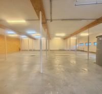 Wide commercial spaces with concrete floors and columns, suitable for business.