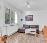 Living area of a studio apartment with a wood-patterned floor and a sofa.