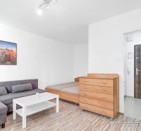 Living room of a one-bedroom apartment with a wood-patterned floor, a sofa, and a bed.