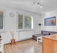 Living room in a studio apartment with wood-patterned flooring, a table, and a couch.