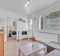 Living room with wood-patterned flooring and furniture in a studio apartment.