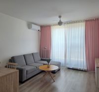 Living room in a two-room apartment with a sofa and a wooden decor floor.