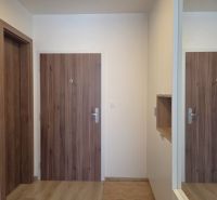 The entrance hall in a 2-room apartment with doors and flooring featuring a wood design.