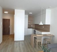 2-room apartment with a kitchen, wooden decor flooring, and light furniture.