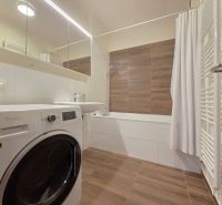 A bathroom in a 2-room apartment with a shower, washing machine, and a wooden decor floor.
