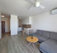 Living room with a kitchenette, gray sofa, and wooden decor flooring in a 2-room apartment.