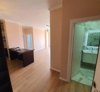 Recreational apartment with wood-patterned flooring and a modern bathroom.