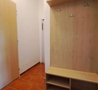 An entrance hall with a shoe cabinet and a coat rack in a 2-room apartment, flooring with a wooden decor.
