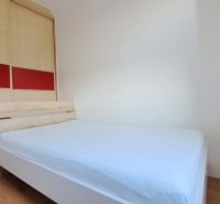 Bedroom with a bed and built-in wardrobe, 2-room apartment, floor with wood decor.