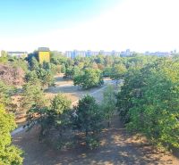 Greenery and trees in the park in Bratislava - Ružinov near Sputnikova Street.