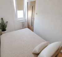 A bedroom in a 2-room apartment with a bed, a plant, and a window.