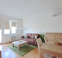 Living room of a two-room apartment with a sofa and a wooden decor floor.