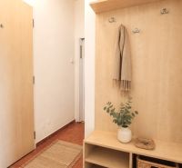 Entrance hallway with a coat rack, plant, and kitchen corner in a 2-room apartment.