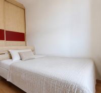 Bedroom in a 2-room apartment with wood-patterned flooring and a built-in wardrobe.
