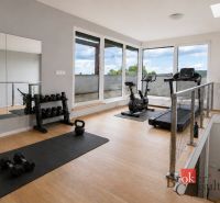 A gym in a family house with a wooden decor floor and a view outside.
