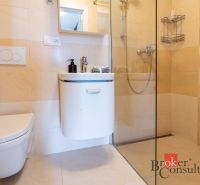 A minimalist bathroom with a shower and toilet in a family house.