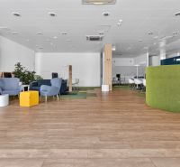 Commercial spaces with wood-patterned flooring, comfortable armchairs, and greenery.