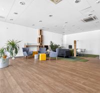Commercial space with chairs, plants, and a wooden decor floor, offering comfortable seating.