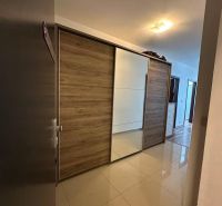 A hallway with a built-in wardrobe with sliding doors and a floor with a wood decor.