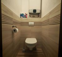 Bathroom in a 2-room apartment with a toilet, tiled walls and floor with a wood decor.