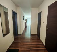 A hallway with a wooden decor floor in a 2-room apartment with a mirror and doors.