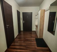 Entrance hall of a 2-room apartment with a wooden decor floor and a coat rack.