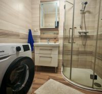Bathroom in a 2-room apartment with wood-patterned flooring, a washing machine, and a shower corner.