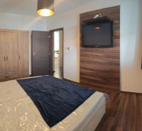 Bedroom of a two-room apartment with a wooden decor floor, a television, and a wardrobe.