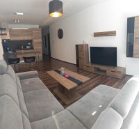 Living room in a 2-room apartment with a wooden-decor floor, a sofa, and a TV wall.