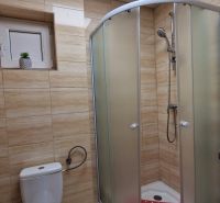 A bathroom in a family house with a toilet and a shower with a wooden decor.
