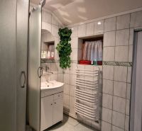 A bathroom with tiles, a shower, a sink, and a radiator, furnished in a family house.