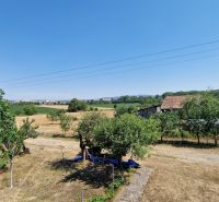 The landscape around the family house on Biela Street in Kazimír with fruit trees.