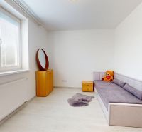 A room in a 3-room apartment with a sofa, an armchair, and a plant on the floor with a wooden decor.