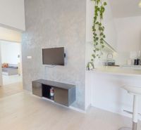 Interior of a 3-room apartment with a white kitchen, television, and wooden decor flooring.