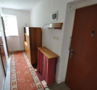 A narrow corridor with carpet and simple furniture in a 2-room apartment.