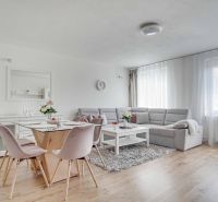 Bright living room with a sofa, dining table, and wood-patterned floor.