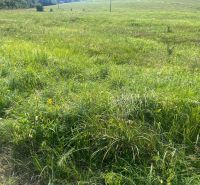Meadow plots for living in Olešná with views of the surrounding hills and nature.