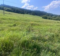 Grassy residential plots in Olešná with a forest background and electric poles.