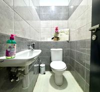 Bathroom in commercial premises with a toilet, sink, and decorative flower on a shelf.