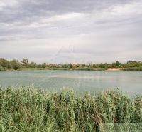 The green lake with greenery and sky in Senec creates a peaceful atmosphere by the cottage.