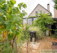 A garden with a vineyard near a cottage in Senec, the surroundings and plants provide privacy.
